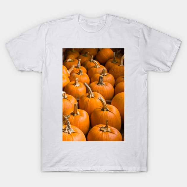 Pumpkins T-Shirt by karenadams